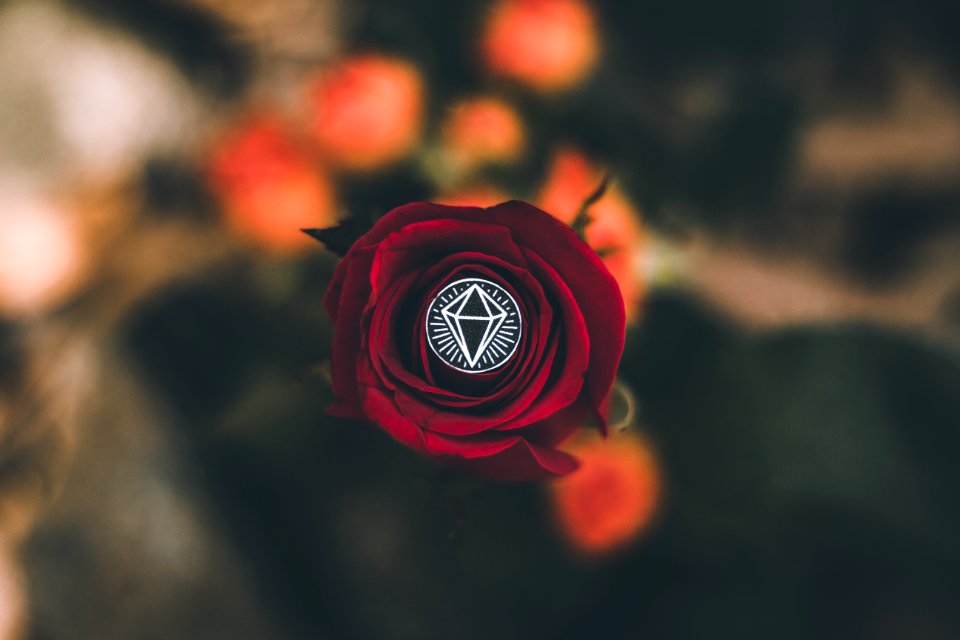 Love, Plants, Red