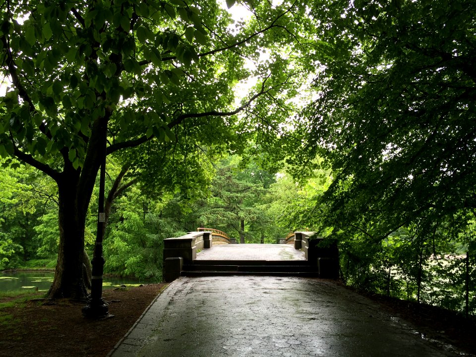 Prospect park subway station, Brooklyn, United states