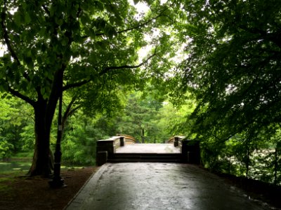 Prospect park subway station, Brooklyn, United states photo