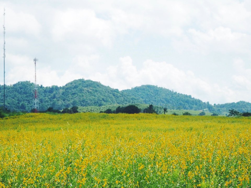 Nakhon ratchasima, Thailand, Moutain