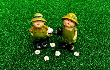 Funny meadow garden