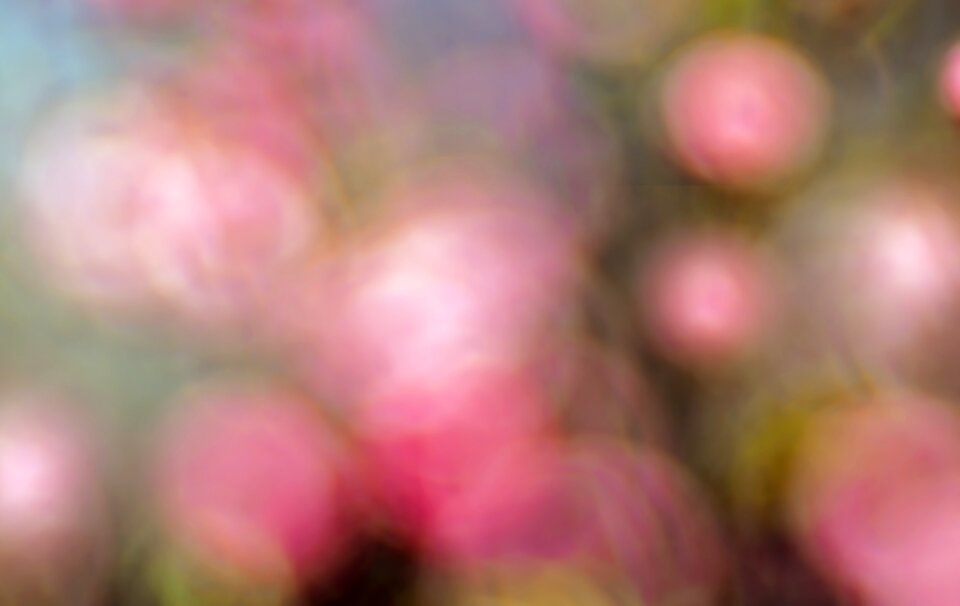 Backlighting pink green