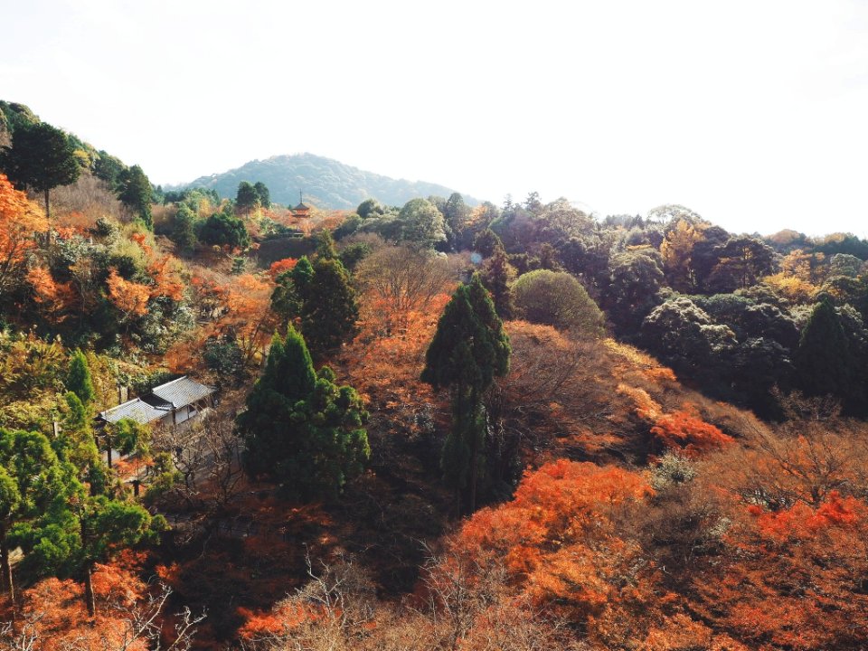 Japan, Kiyomizu dera, Ky to shi