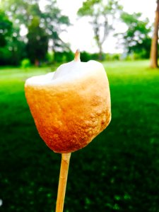 Niagara, Canada, Food