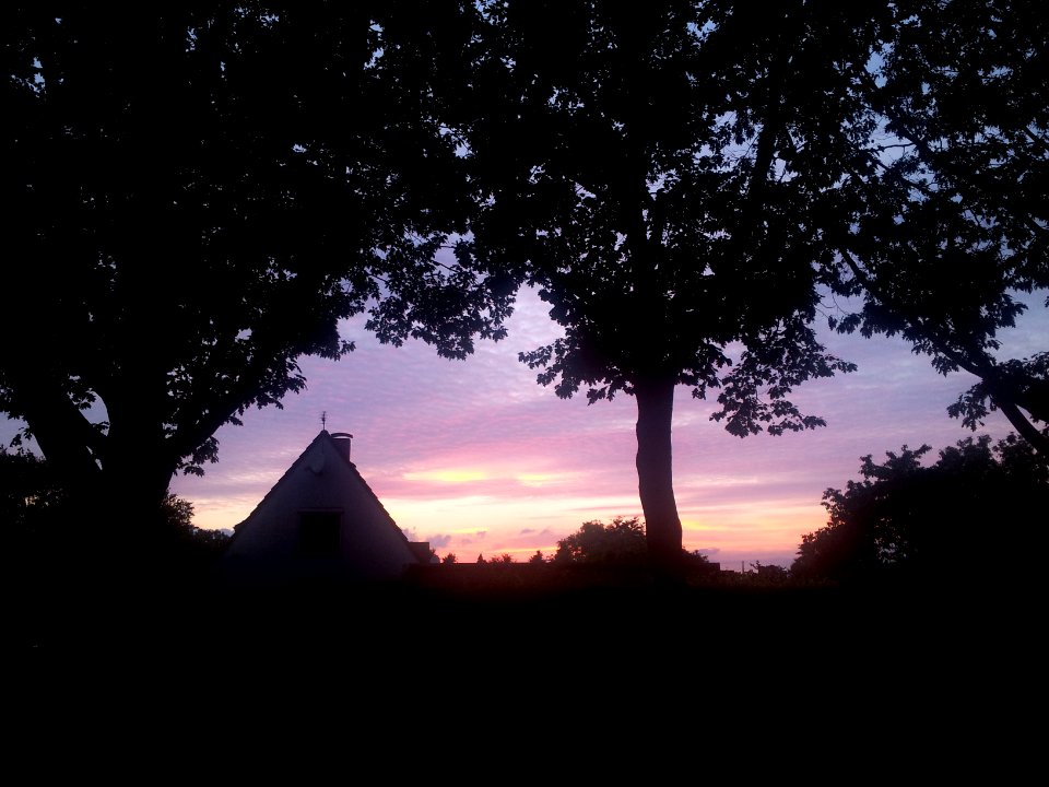 Bremen, Trees, Sunset