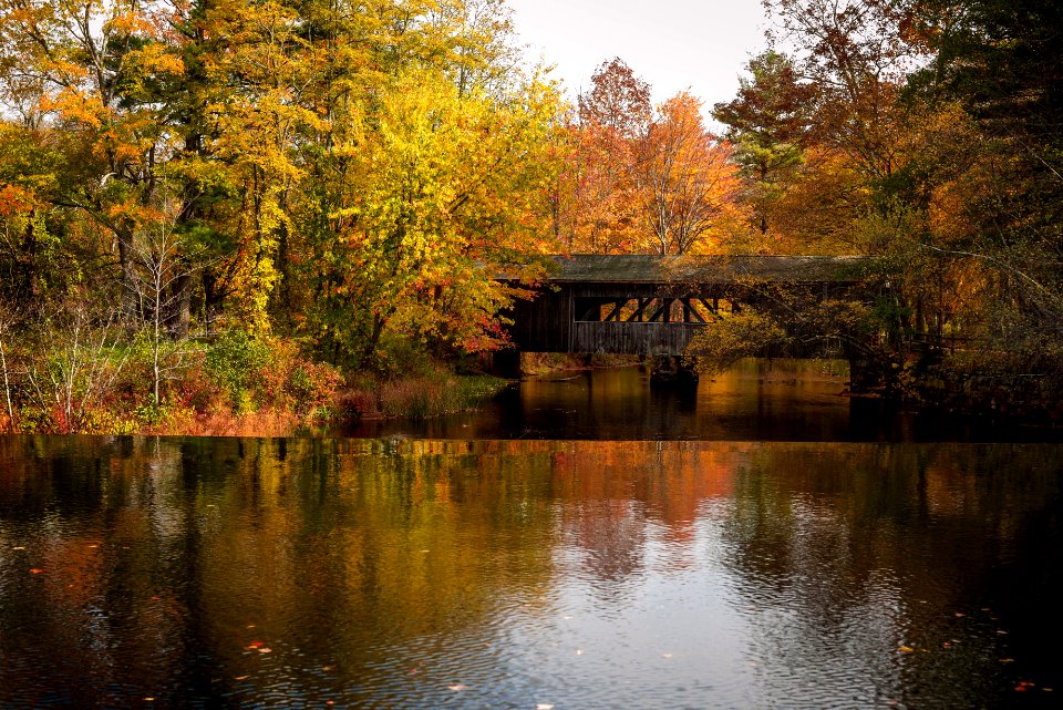 brown wooden house on lake near trees during daytime