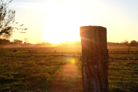 Fence, Sunset, Farm