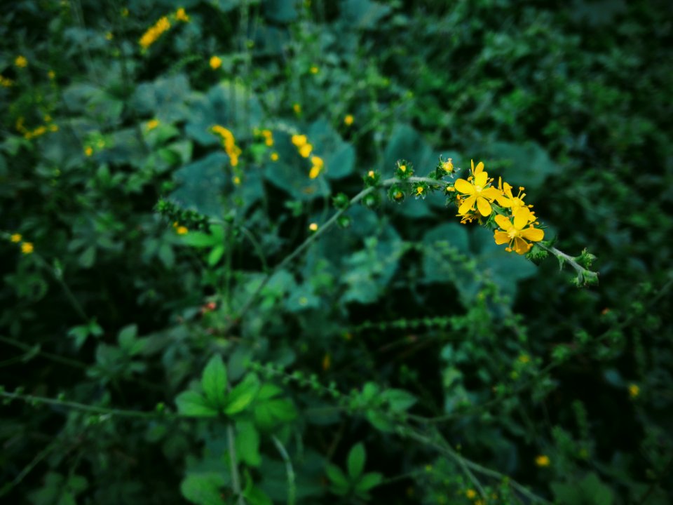 Hechuan, Chongqing, China