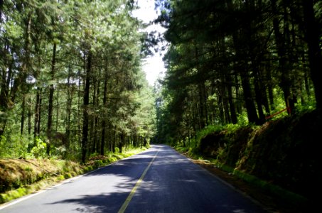 Carretera mxico toluca km 14, Ciudad de mxico, Mexico photo