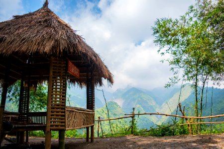 Indonesia, Kediri, Forest