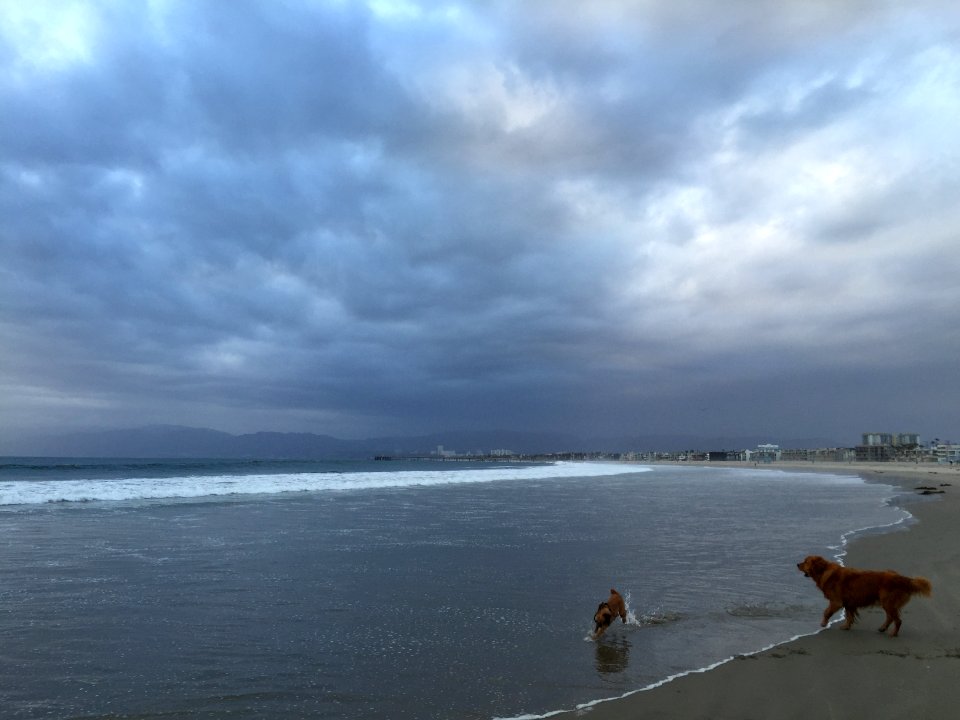 California, Marina del rey, United states