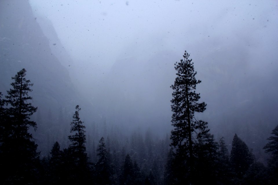 Yosemite valley, United states, National park