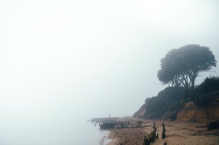 sea during foggy day photo