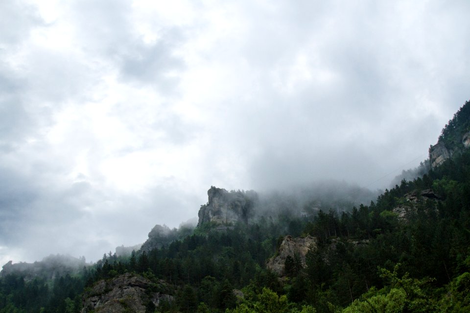 grass-covered foggy mountain
