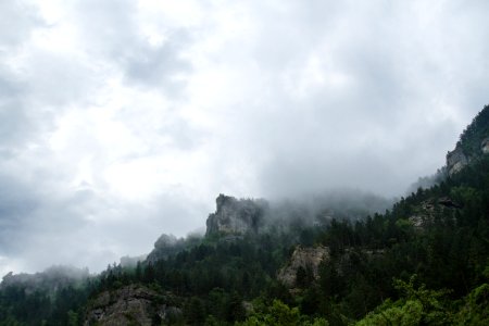 grass-covered foggy mountain