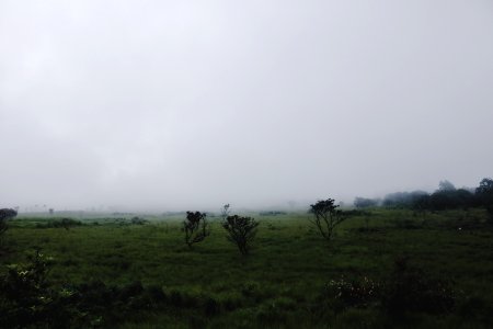 Panama, Alto boquete, Love