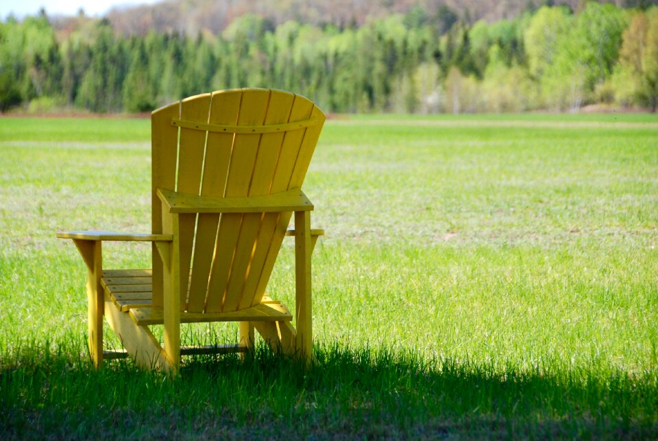 Nature outdoors relax