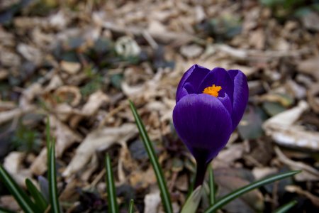 Fort collins, United states, Colorado