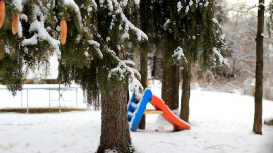 06770, Naugatuck, United states