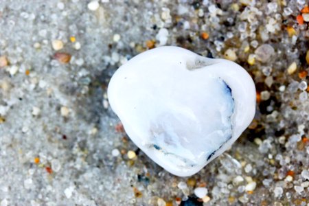 Cape cod, United states, Pebble