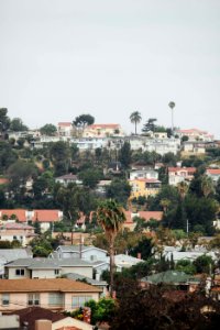 Los angeles, Tropical, City