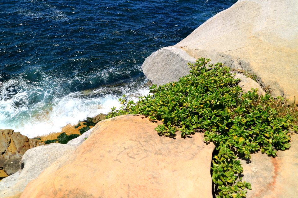 Ocean