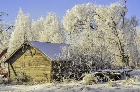 Snow rural shed