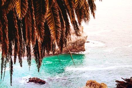 aerial photo of tree and stone surrounded with body of water