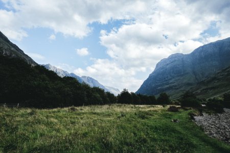 Scottish Highland, Fort augustus, United kingdom