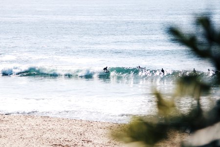 people surfing in the beach during daytime photo