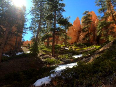 Bryce canyon, United states, Snow photo