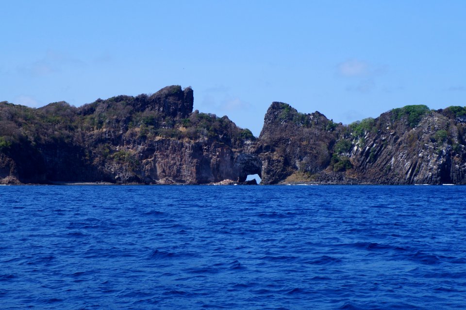 Fern, O de noronha, Brazil