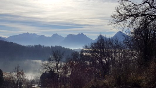France, Menthon saint bernard, Forest