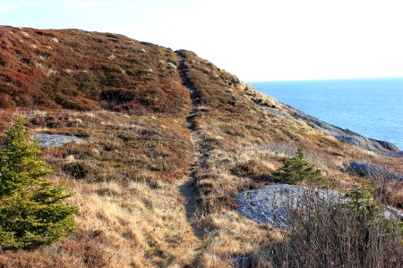 Pee point, Blacks harbor, Canada