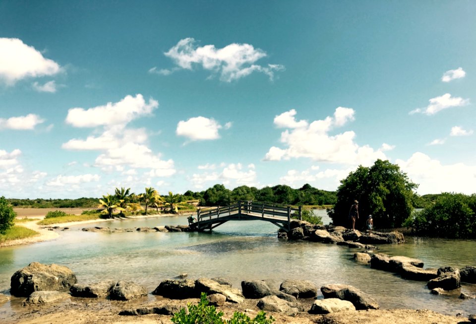 Savane des p trifications, Sainte anne, Martinique