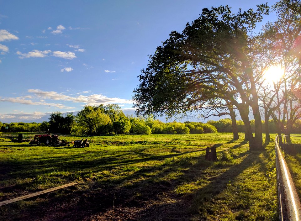 Denton, United states, Forest