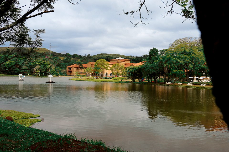 Brazil, Arax , Mindful