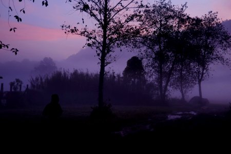 Ranca upas smart camp adventure, Indonesia, Dawn