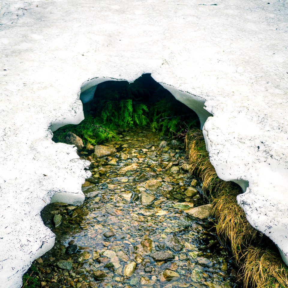 Mount seymour, Canada, Winter