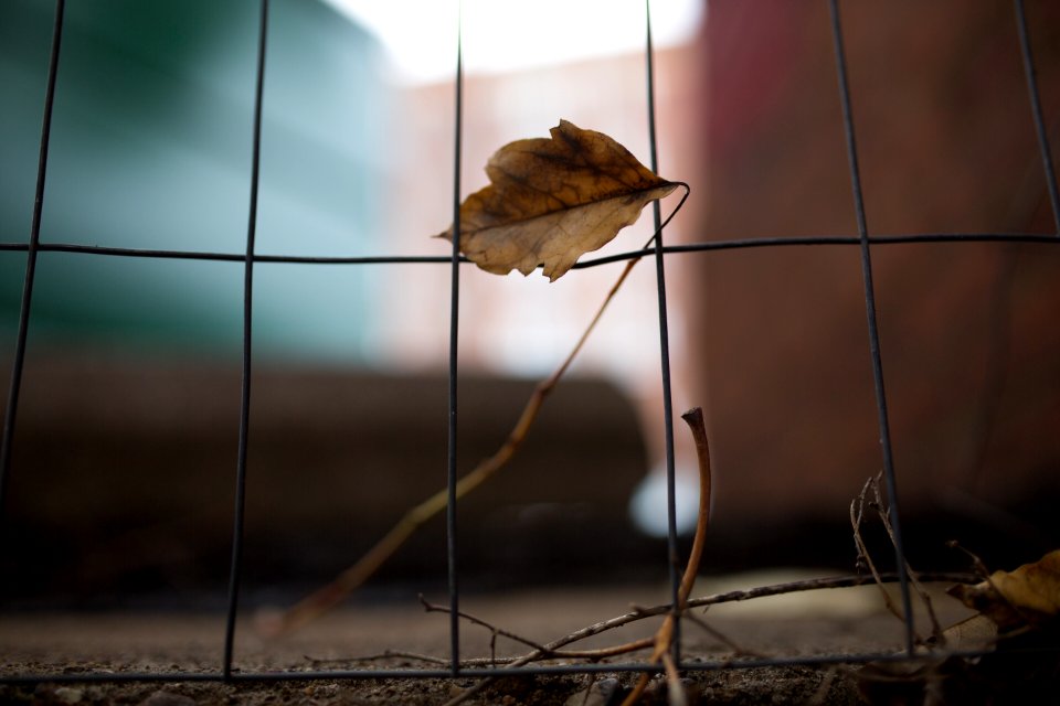 Nashville, United states, Background