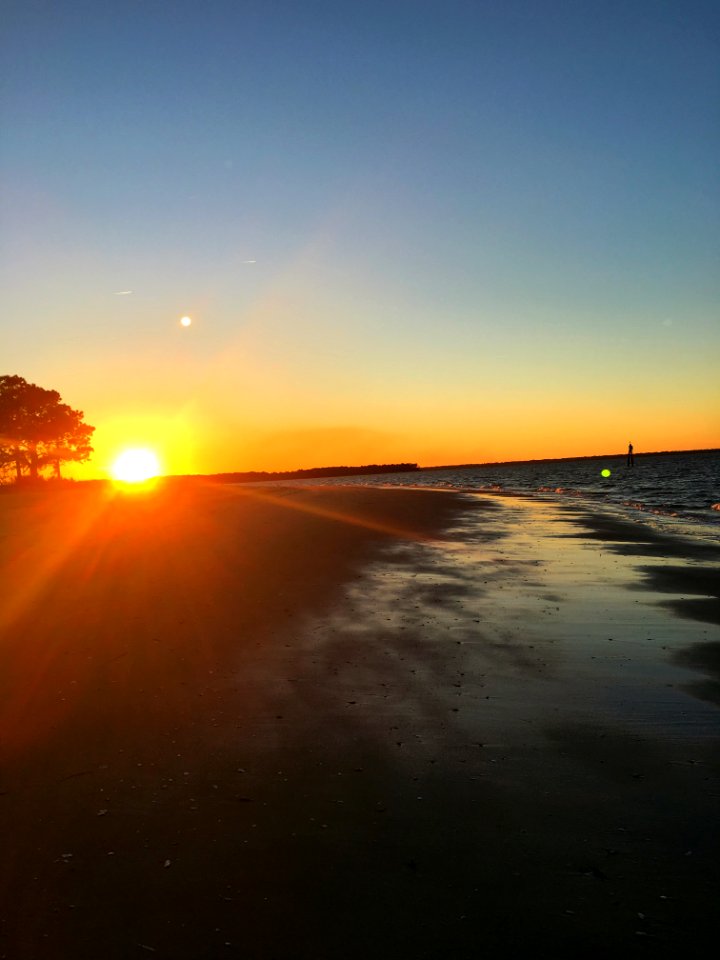 Dolphin head, Hilton head Island, United states