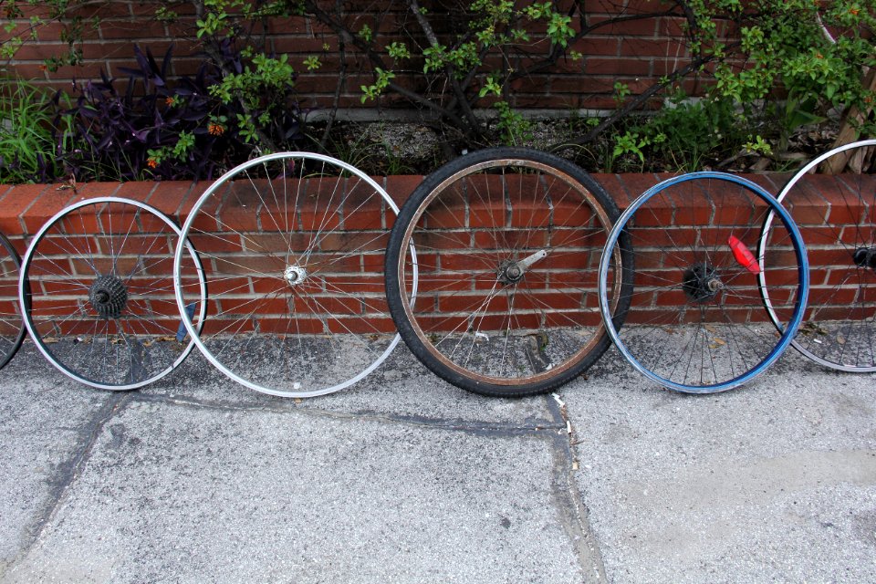 Tarpon springs, United states, Wheel
