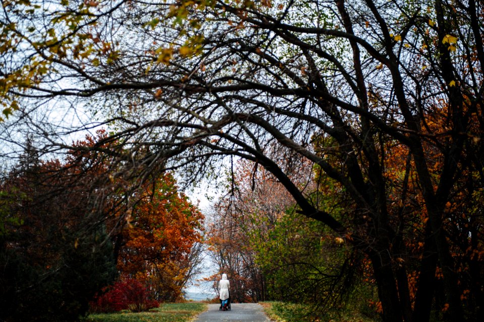 Red, Coldness, Park