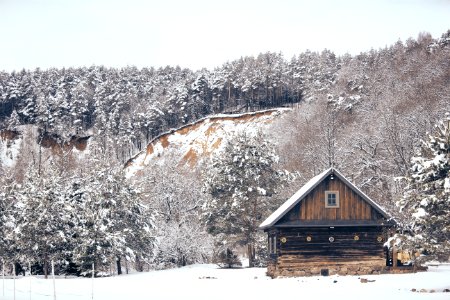 Pkoriai, Lithuania, Village