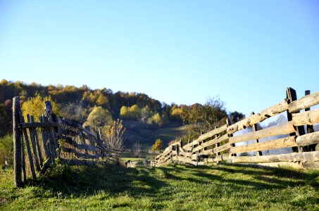 green grass field with wooden fence photo