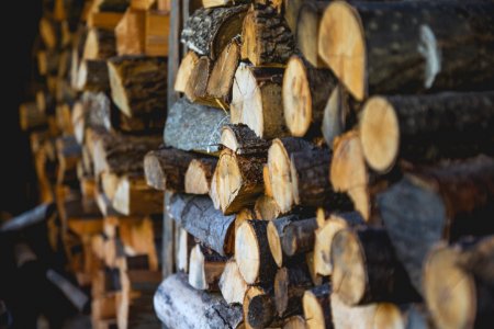 shallow focus photography of firewood lot photo