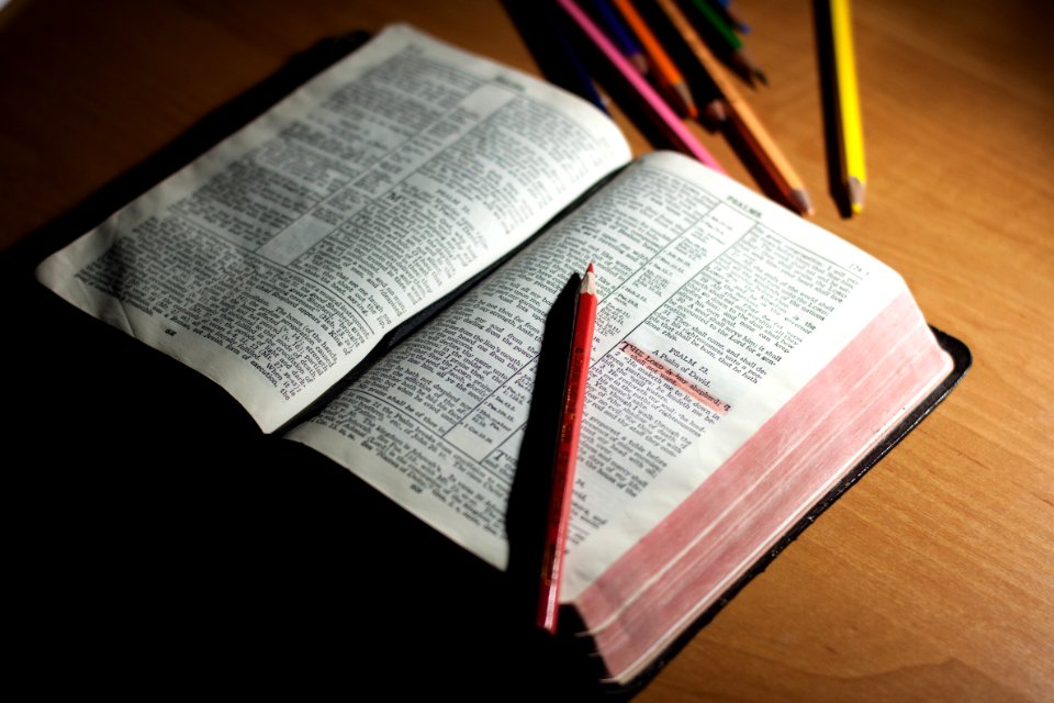 A red pencil sitting on an open book, which was used to highlight a line of text. photo