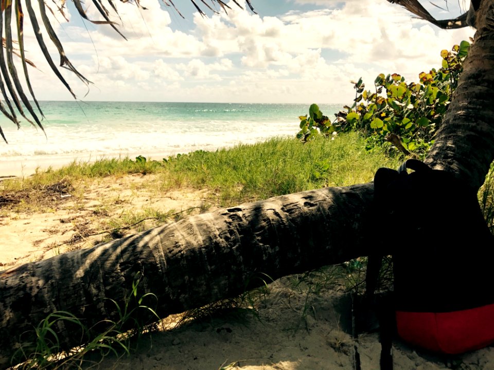 Pointe baham, Sainte anne, Martinique
