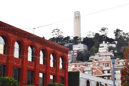 Coit tower photo