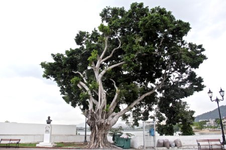 Panama city, Panama, Lake